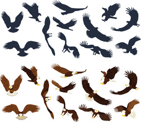 set eagles flying in flat style, vector