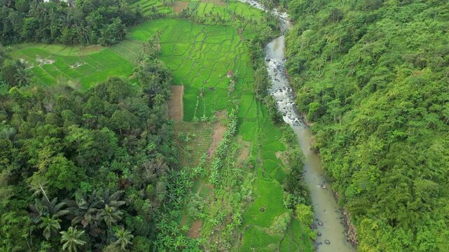 Vibrant Green Valley And River As Drone Tracks Upstream Sukabumi Indonesia 4K 60FPS