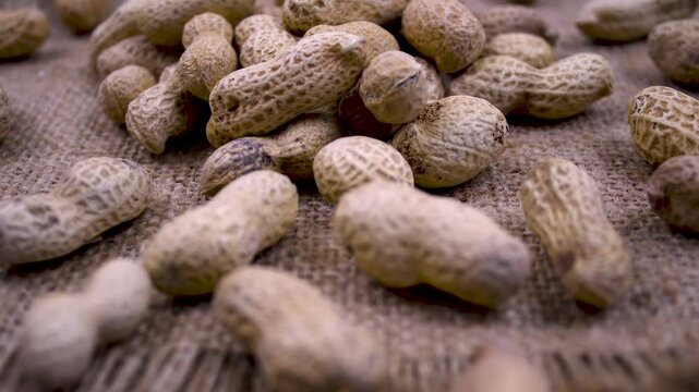 Close up. Natural peanuts in the husk on burlap: rough surface, detailed texture, natural pattern.  Arachis hypogaea