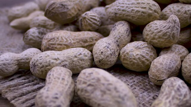Close-up. Peanuts scattered on burlap fabric: warm beige shades, texture, rustic background. Arachis hypogaea