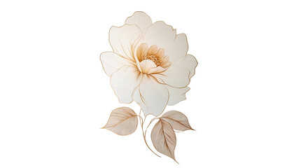 ดีไซน์ที่ยังไม่ได้ตั้งชื่อ - 21