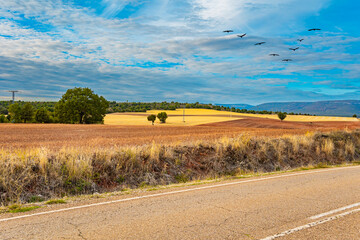 Fototapeta premium Spain. Beautiful road