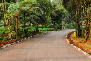 Empty street with comfortable and relaxation great garden, morning scene.