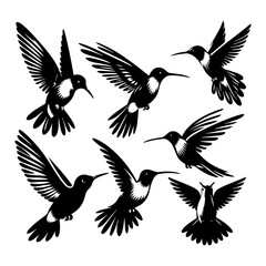 Silhouette of Hummingbirds Vector Art illustration with a white background