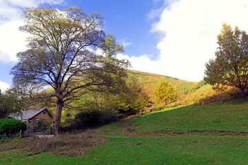 Wistful autumnal melancholy, in Church Stretton, Shropshire.