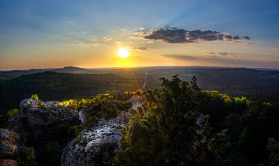 Sunset over a forest