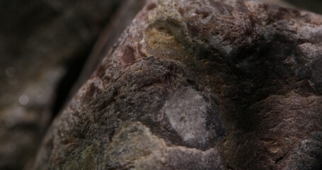 Close-up of Dark Rock Surface with Intricate Textures