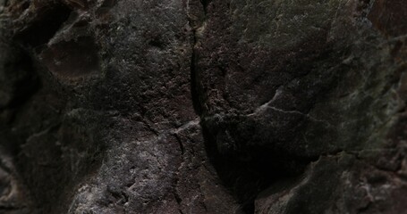 Textured Close-up of Dark Basalt Rock Surface