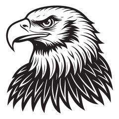 Detailed Silhouette of American Bald Eagle  Vector