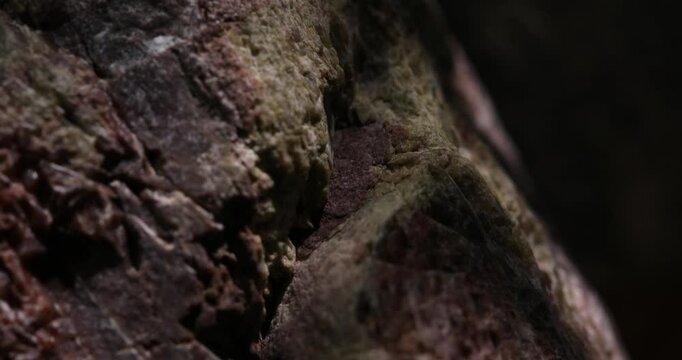 Close-up of Granite Rock with Detailed Rough Texture