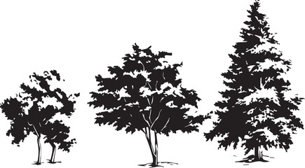Set Trees. Hand drawn vector illustration	