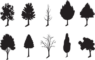 Set Trees. Hand drawn vector illustration	