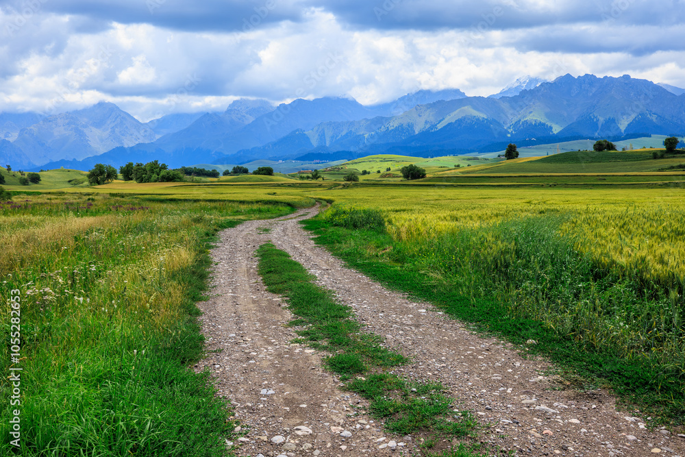 Wall mural Countryside gravel road and green wheat fields with mountains nature landscape in summer. road trip.