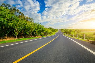 Fototapeta premium Countryside asphalt road and green forest nature landscape at sunset. Road trip.
