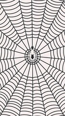 Obraz premium Seamless spider web. Connected black lines on white background