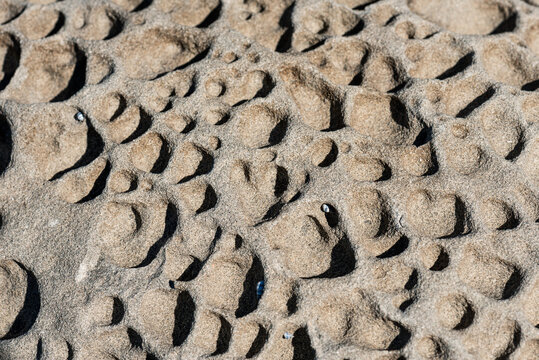 Close up view of textured rock with bumpy surface