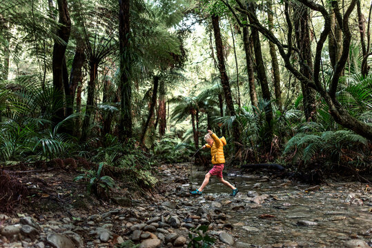 Small child crossing creek in lush forest