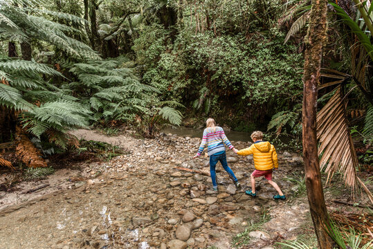 Sister helping little brother cross creek in forest