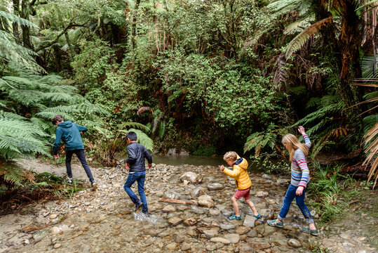 Siblings hiking in New Zealand forest
