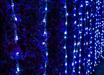 background of holiday colorful blue neon garland for texture and design, festive decoration close up