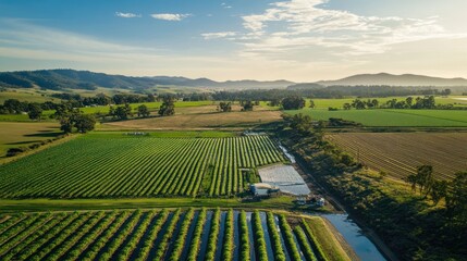 Advanced irrigation technology on a large-scale farm, designed for efficient water management.