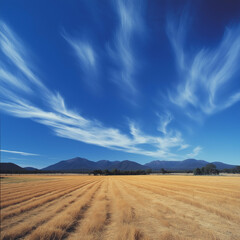 Obraz premium Golden hay field stretching to distant blue mountains under a vivid sky with streaky clouds, portraying rural tranquility and expansive landscapes.