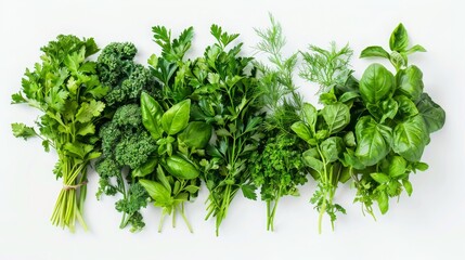 Fototapeta premium Fresh Green Herbs Parsley Basil Dill Culinary Cooking Food Ingredient