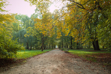 Path in autumn park. Beautiful landscape.