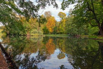 Pond in autumn park. Beautiful autumn landscape.