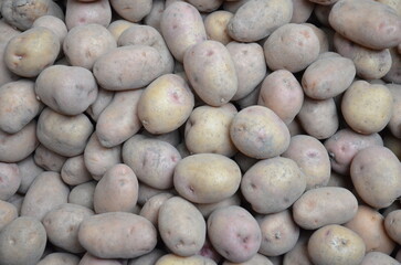 The potato harvest lies in bulk.
