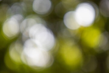 Texture background for overlay or texture design - abstract background with bokeh, defocused color...