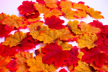 Autumn red, orange and yellow leaves. Artificial leaves on white and black background. Autumn mood.