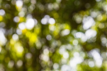 Texture background for overlay or texture design - abstract background with bokeh, defocused color...