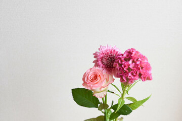 Fototapeta premium ピンクの花束