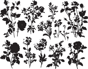 Set Flowers. Hand drawn vector illustration