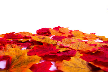 Autumn red, orange and yellow leaves. Artificial leaves on white and black background. Autumn mood.
