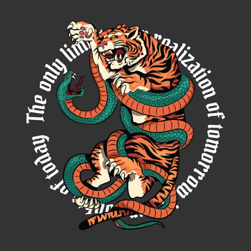 tiger vs python figth