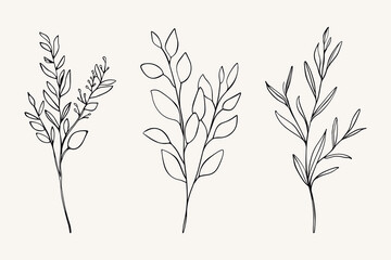 Outline vector floral set. Abstract hand drawn branches, forest plants icons. Contour delicate twigs, stem and leaves