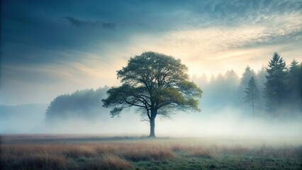 Fototapeta premium A misty forest landscape with a lone tree standing tall amidst the foggy atmosphere, isolation, solitude, fog, nature, foliage