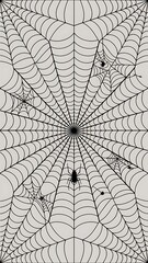 Obraz premium Seamless spider web. Connected black lines on white background