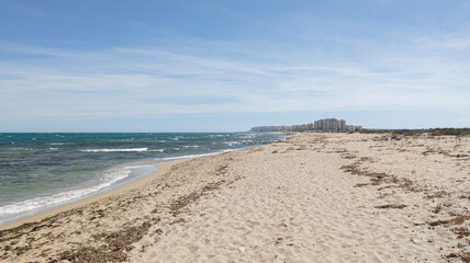Summer vacation on the coast. Panoramic view of the wild beach. Blue sky and wavy ocean water. Yellow sea sand covered with dry seaweed. Alicante, Spain, Costa Blanca landscape