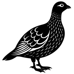 Dusky Grouse silhouette on a white background