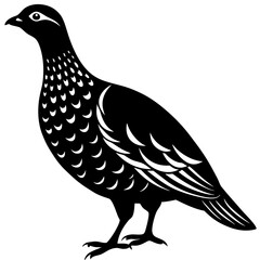 Dusky Grouse silhouette on a white background