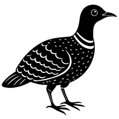 oilbird vector silhouette on a white background