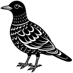 oilbird vector silhouette on a white background