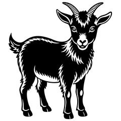 Pygmy Goat Silhouette vector illustration on a white background