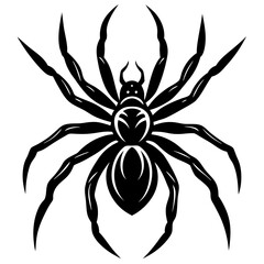 Spider Silhouette vector illustration on a white background