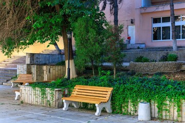 Green beautiful courtyard with a bench