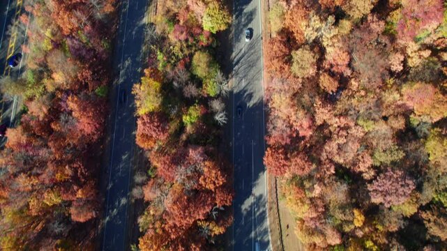 Overhead of highway traffic in amazing fall forest colors, New Jersey, USA