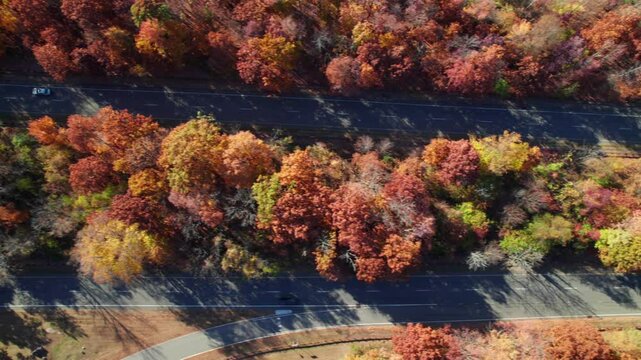 Overhead aerial of vehicles on the Palisades Parkway in autumn, 4K